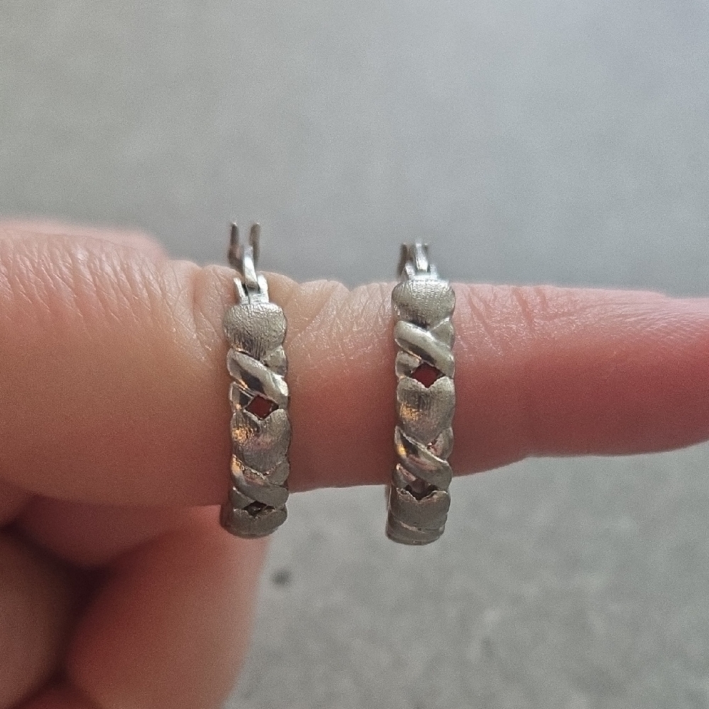 Elegant Silver Hoop Earrings